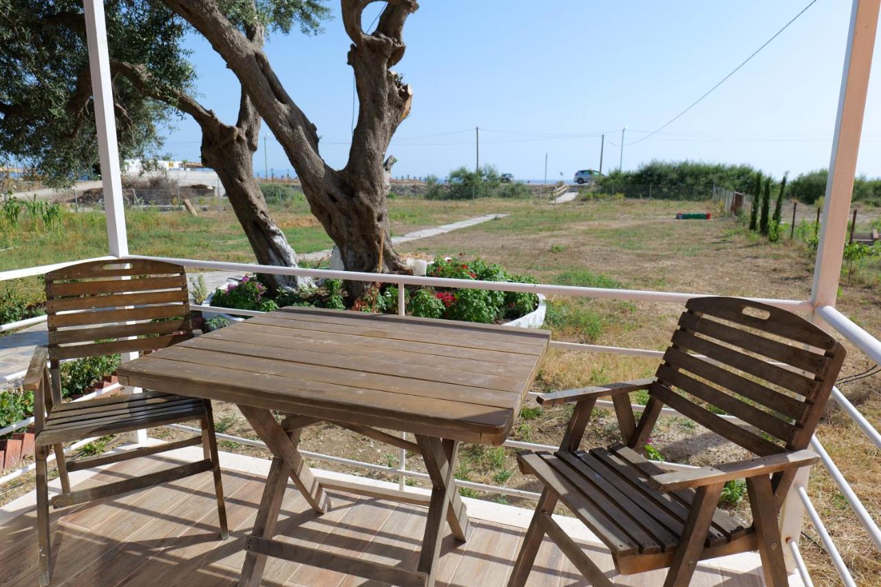 Vila Ari بورش المظهر الخارجي الصورة