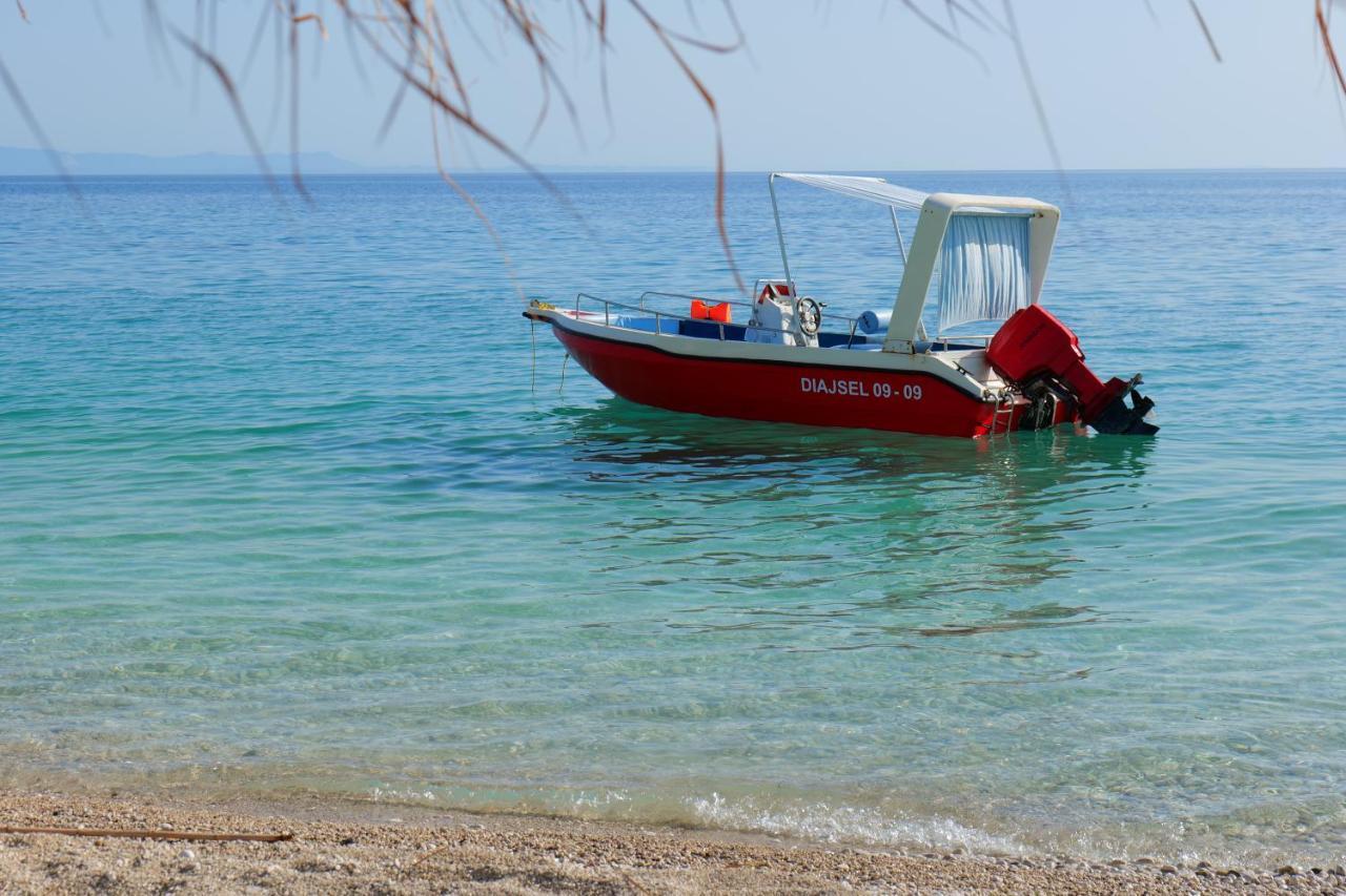 Vila Ari بورش المظهر الخارجي الصورة