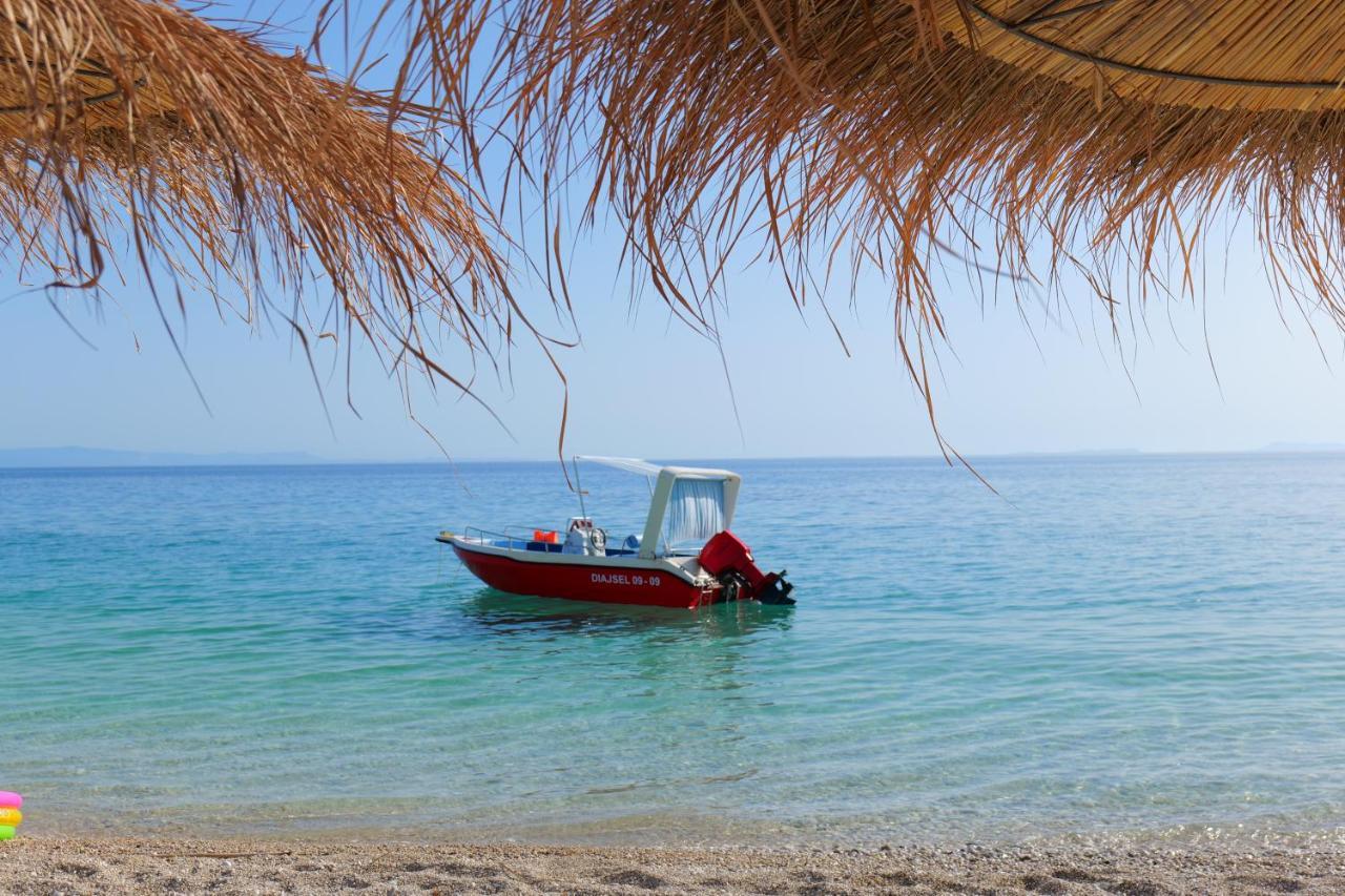 Vila Ari بورش المظهر الخارجي الصورة